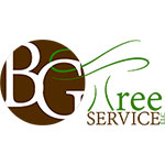 BG-Tree-Service-logo